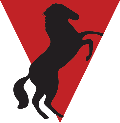 Mustang Wireline Services, LLC logo